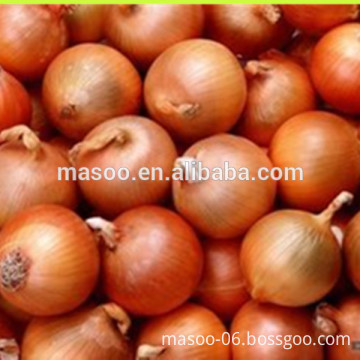 Wholesale Chinese Fresh onions in bulk, fresh vegetables, good quality